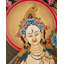 Déesse blanche Tara Thangka (Brocadeless Thangka)