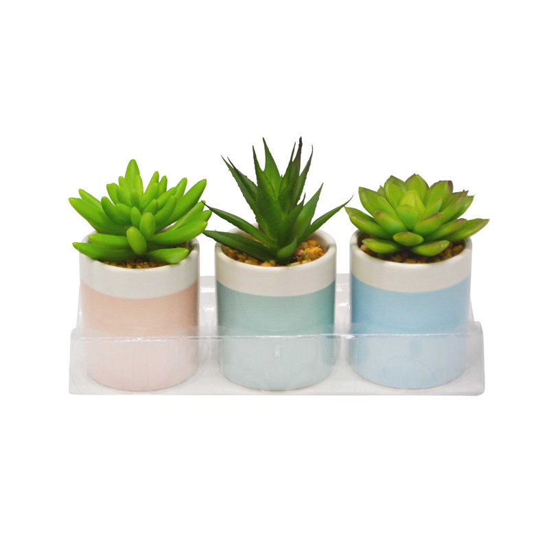 Ensemble de 3 plantes succulentes artificielles dans un vase coloré décoratif - ensemble de 3