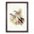 Walnut Framed