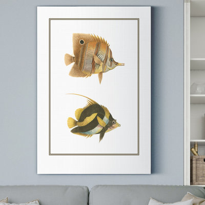 Antique Tropical Fish II - impression sur toile tendue