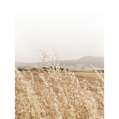 " Wheat Field With Breeze "
