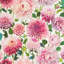 Dahlia Wallpaper-68984585