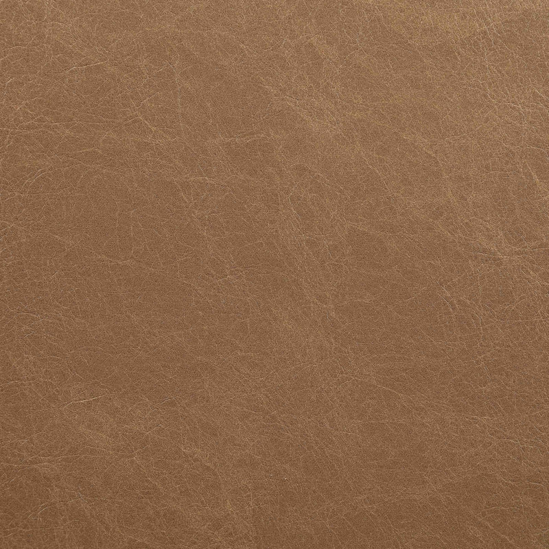 Chaise rembourrée Ravina, Cuir cognac végétalien, Teint en brun