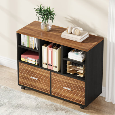 Maidel 39.37'' Wide 2 -Drawer Mobile File Cabinet
