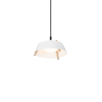 Casia 1 - Light Pendant