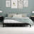 Dorothyann Solid Wood Platform Bed-100387593-100387598