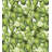 Coastal Polyester Duvet Cover