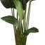 Faux Palm Tree in Planter-95207797