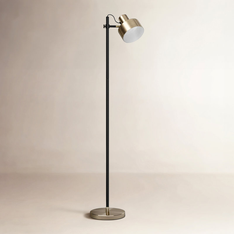 Hayden 56'' Task Floor Lamp