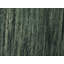 Tapis uni uni vert 5X5