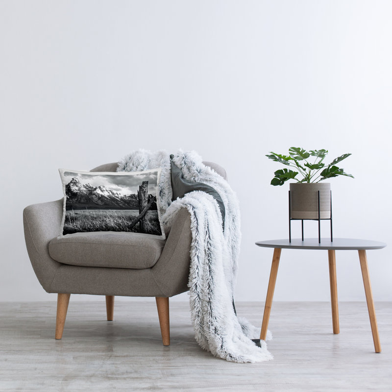 Coussin décoratif