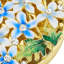 Daphne Compact