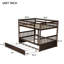 Lit superposé double au-dessus de double avec lit gigogne, échelle, garde-corps, convertible en 2 lits doubles, fabrication en bois d'hévéa, espresso