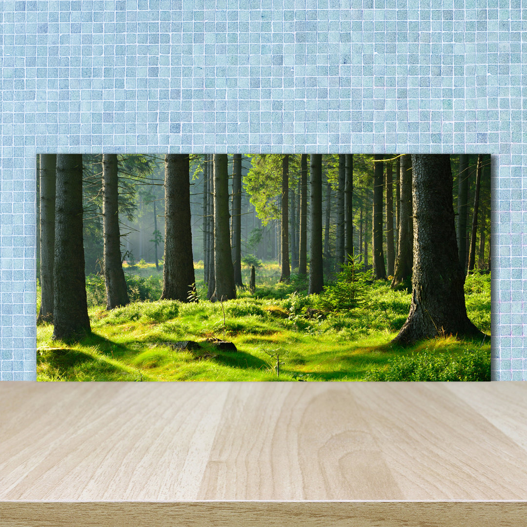 50 cm x 100 cm Glas Spritzschutzpaneel