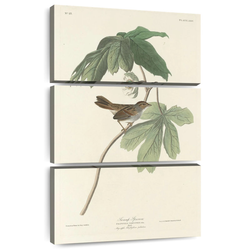 Brampt Swamp Sparrow, 32" H x 20" W