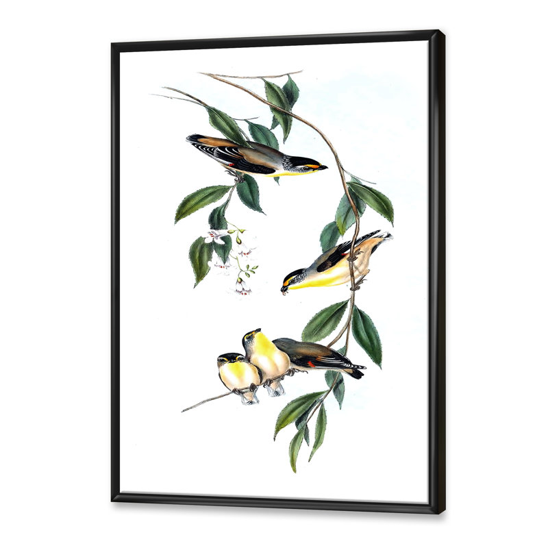 Oiseau rétro III - peinture sur toile, H 20 po x l 12 po x P 1po, Cadre flottant noir