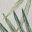Machine Woven Light Beige/Green Rug-70522846