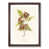 Walnut Framed selected