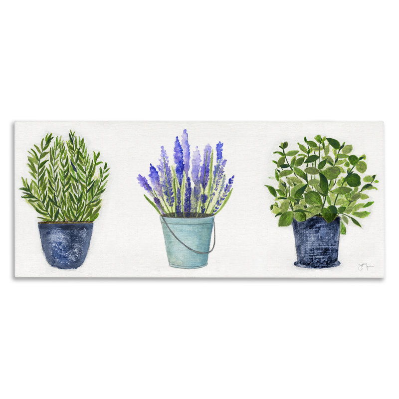 " Varied Potted Plants Herbs Country Botanical Farmhouse " by Janet Tava Painting Print, 20" H x 48" W x 1.5" D