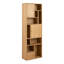 Rezart 180 cm H x 60.5 cm W Standard Bookcase