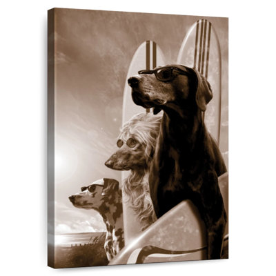 Ketti Surfing Dogs