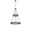 20 - Light Chandelier