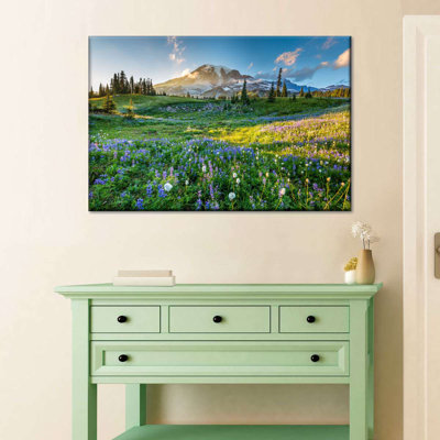 " Springtime At Mount Rainier "
