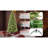 Christmas Tree-522688103