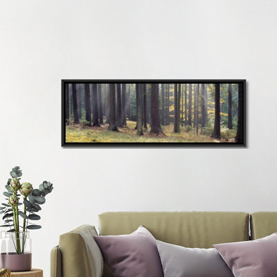 " Trees In The Forest, South Bohemia, Czech Republic " by Panoramic Images