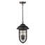 Hitchcock 3 - Light Outdoor Pendant-235758192