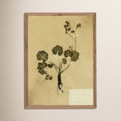 "Petite Study No. Vi" by Hannah Winters