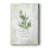 Fresh Tarragon -Gallery Wrapped Cavas-280181211