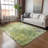 Machine Washable Indoor/Outdoor Lafferty ACN2223 Floral Rug-1266607630