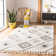 Penwortham Moroccan Area Rug
