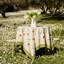 Springfields Handmade Floral Tablecloth-1448940239