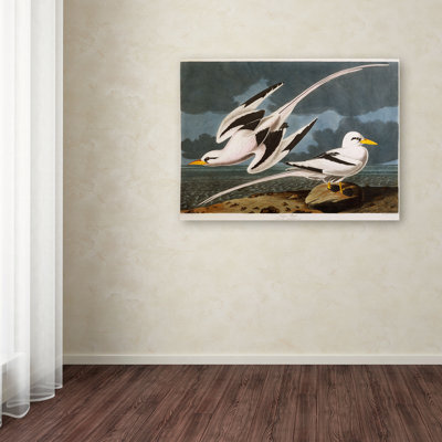 «Tropic Bird» par John James Audubon - reproduction d'art sur toile