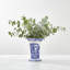 Vase hexagonal bleu Spode 10,5 "