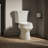 Wellworth Elongated Toilet Bowl with Quick-Connect Installation-14674740