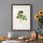 «Pretty Botanicals III», cadre photo-1776683584-1776683587
