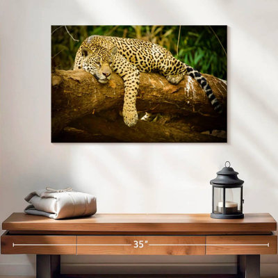 Brampt Pantanal Jaguar