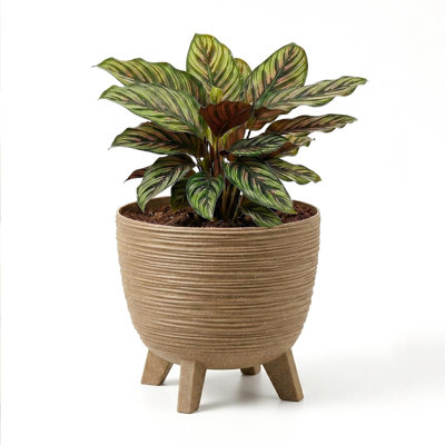 Pot Planter