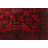 Ely Red Rug 2'6" x 4'0"