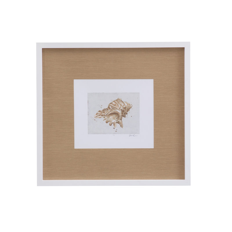 Neutral Shell Fresco III Framed Print