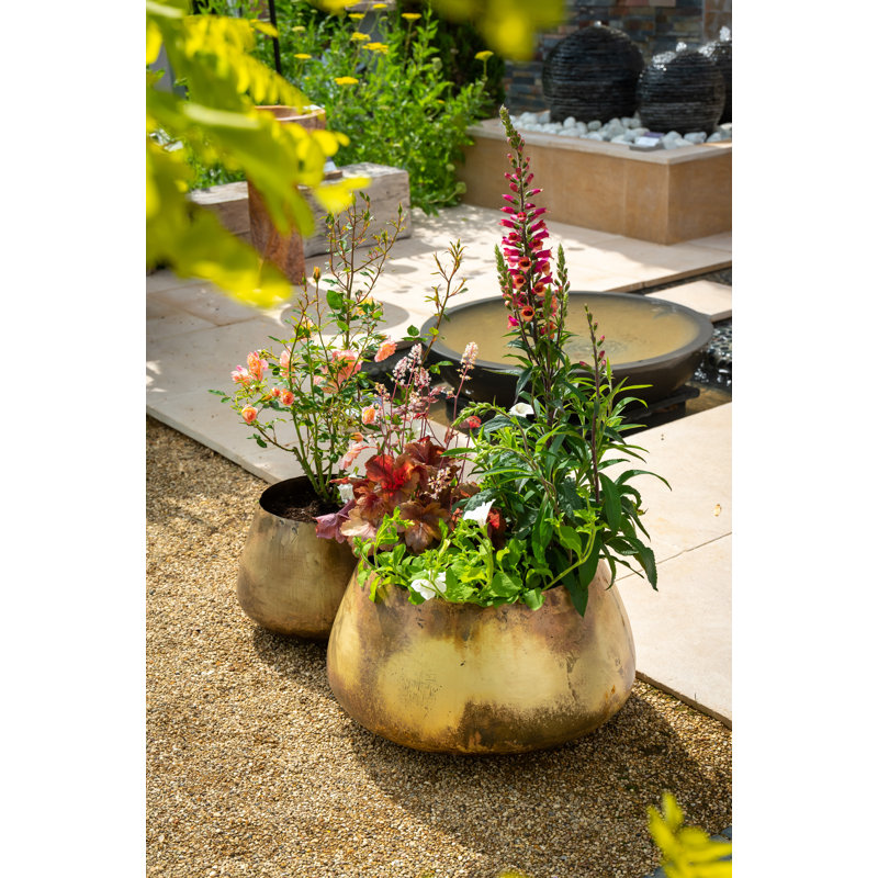 Pelaez Metal Pot Planter, 39cm H x 65cm W x 65cm D