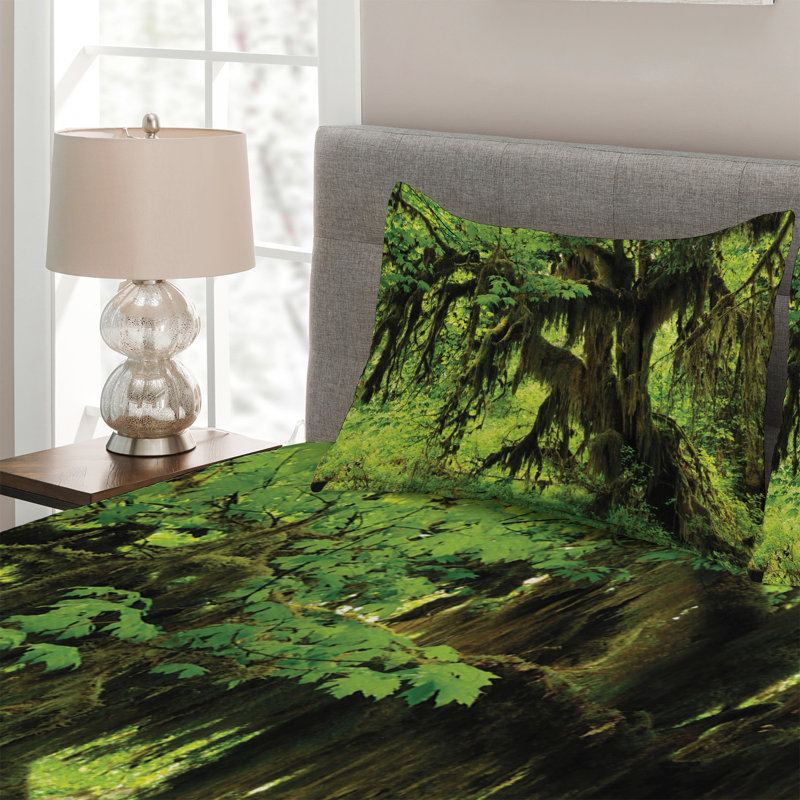 Coverlet
