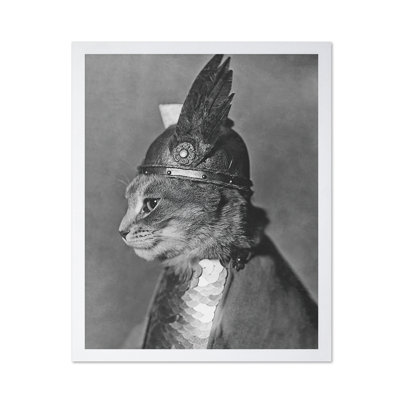 Brunnhilde le chat