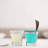Aras 1.5oz. Shot Glass / Shooter Set