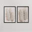 «Pampas Grass III» par Vincent Van Gogh - ensemble de reproductions d'art encadrées-38519890-38507440-38519892