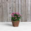 Pot à fleurs en pierre Alaunah-80148664-80148668