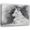 Art sur toile tendue avec Lark Manor ™ Campbell, Robert: White Shepherd in Grey